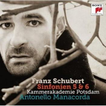 Franz Schubert: Die Meisterwerke
