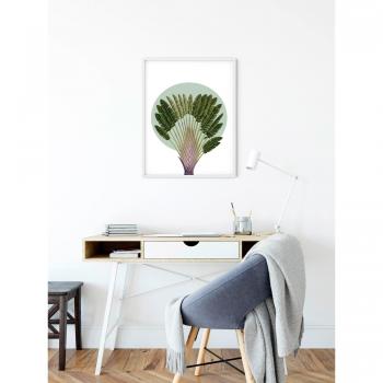 Cartel Komar Palmera Tropical 50x70