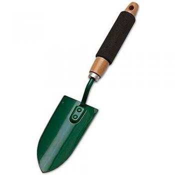 Pappagallo Trapiantatore