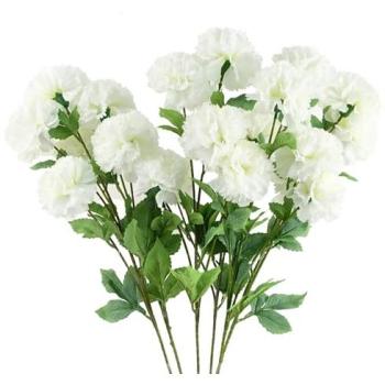 Classic White Carnation Collection