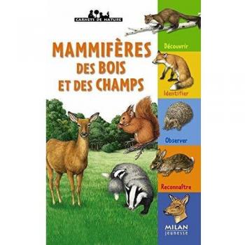 Mammifères des bois et des champs