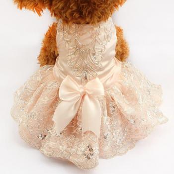 Tenue de mariage en dentelle pour chiens