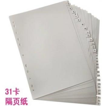 A4 Plastic Index Page Tabs Solid Color 31 Count