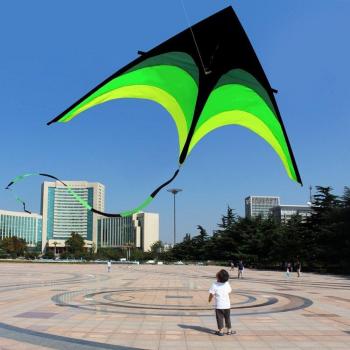 Outdoor Fun Sports Kite