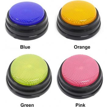 LED Interactive Talking Toy