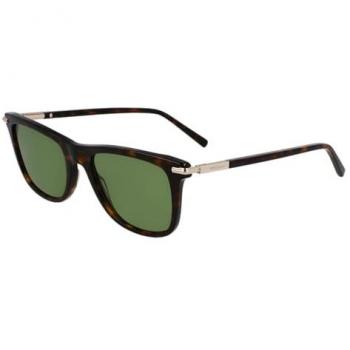 Ferragamo Signature Tortoise Sunglass – 54mm Men's Edition