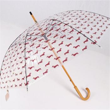 Ladies Transparent Umbrella with Dog Design
