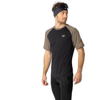 Dynafit Alpine Pro M Men's Short Sleeve T-Shirt (Fallen Rock)