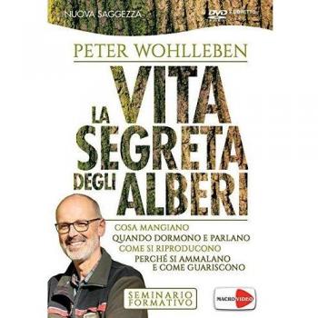 Peter Wohlleben