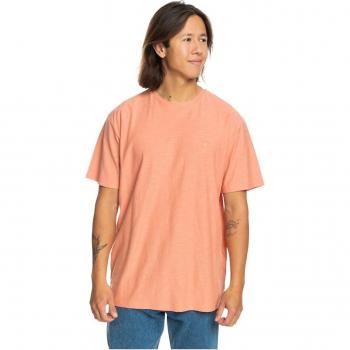 Quiksilver Canyon Clay Slub T-Shirt