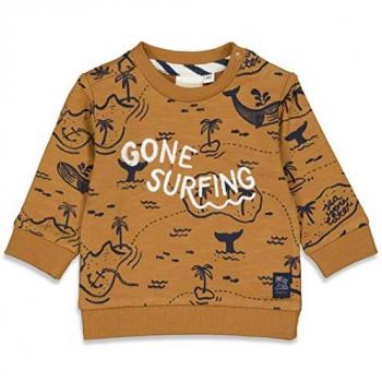 FEETJE Sweatshirt No Waves No Fun in Camel