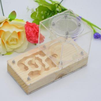 Wooden Ant Colony Habitat with Gypsum and Feeding Space