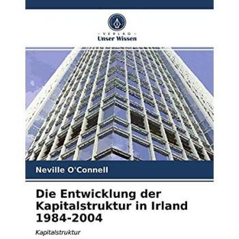 Die Entwicklung der Kapitalstruktur in Irland 1984-2004: Kapitalstruktur