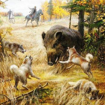 5D Diamond Embroidery Wild Boar and Dog Home Decor Gift