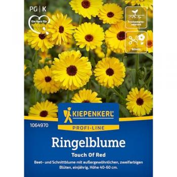 Blumensamen Ringelblume 'Touch of the Red'