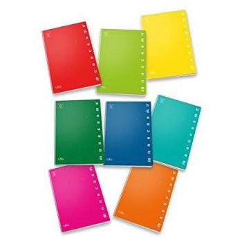 Quaderno 38 fogli PIGNA Monocromo A4 a quadretti 4M assortiti