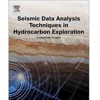 Seismic Data Analysis Techniques in Hydrocarbon Exploration