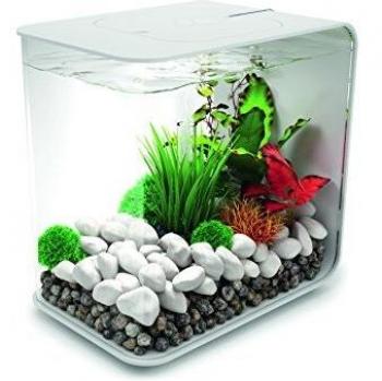 BiOrb FLOW 15 White 4 Gallon Acrylic Aquarium