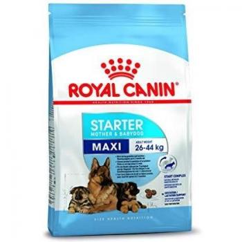 Royal Canin Maxi Starter Mother & Babydog 4kg