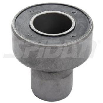 Achslager für RENAULT SPIDAN 412658