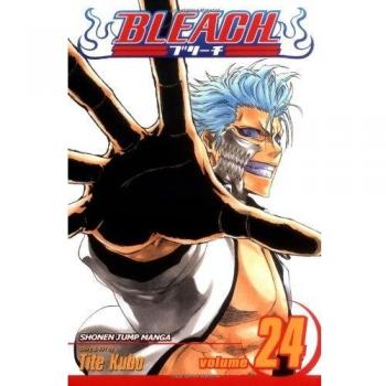 Bleach, Vol.�24
