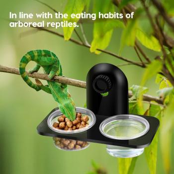 POPETPOP Lizard and Turtle Feeding Dish
