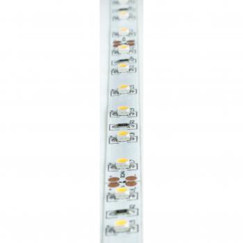 Bande LED Brumberg 5 m 3100 K Flexible