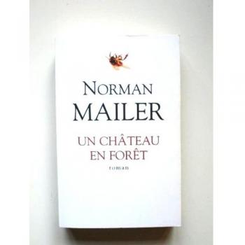 Un chateau dans la foret