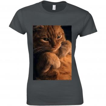 Sneaky Cat Humor T‑Shirt
