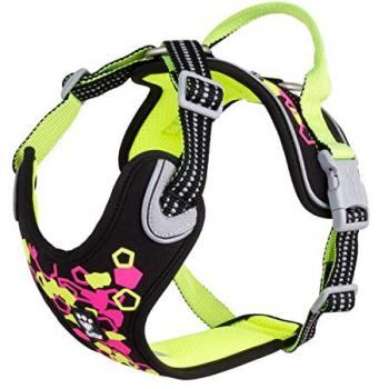 Weekend Warrior Neon Leinen-Halsband-Set – Licorice 45–60 cm