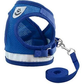 Laisse Corde Chien