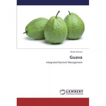 Guava