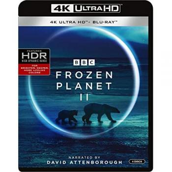 Monde Glacé II Blu-ray 4K Ultra HD