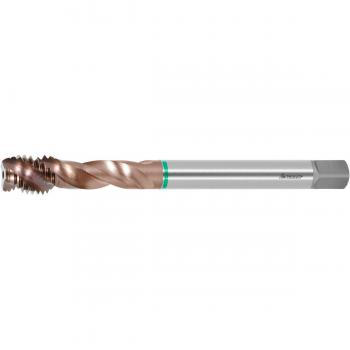 Garant Maschio Master Tap HSS‑E‑PM AltaX