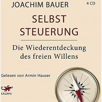 Selbststeuerung