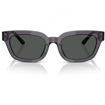 Emporio Armani EA4233U 610687 53 Lentes de Sol Para Mujer Grises