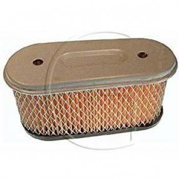 Filtro de Aire Briggs & Stratton Modelo 491021