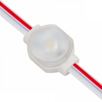 Mini Módulo de Luz LED 60 Piezas 1 LED 180 Grados 0.72W Blanco 6500K DC12V Impermeable