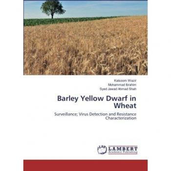 Wazir, Kalsoom: Barley Yellow Dwarf in Wheat