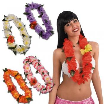Carnival 4717