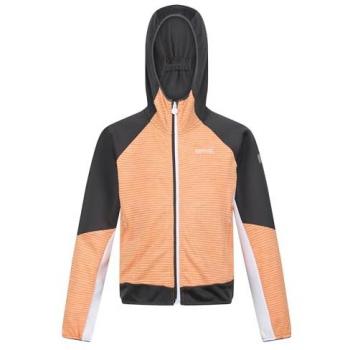 Giacca Softshell Regatta Prenton II Arancione e Grigio