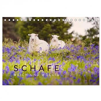 Schafe