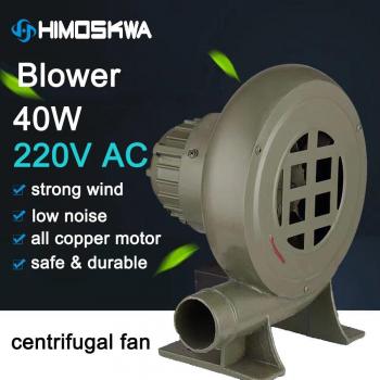 40W 220V Household Cast Iron Blower