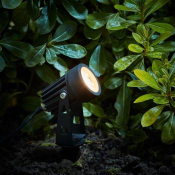 Radiant 4-Pack Solar Spotlights