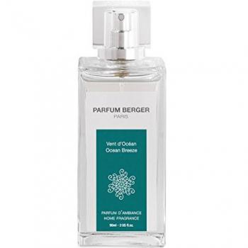 Vaporeggiolo Berger 90 ml Vent d’Océan