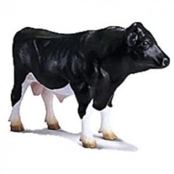 Taureau Holstein