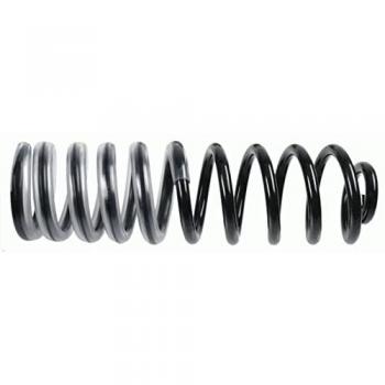Sachs 996 629 Spring Assembly