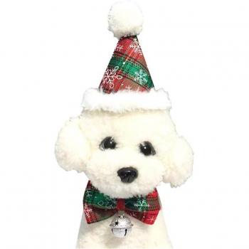 Corona de Navidad Pet: Sombrero Cónico + Accesorios