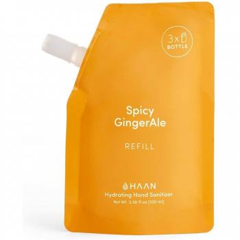 Desinfectante de Manos Haan 100ml con Aloe Vera