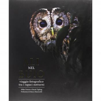 Ali nel buio. Viaggio fotografico tra i rapaci notturni. Ediz. a colori